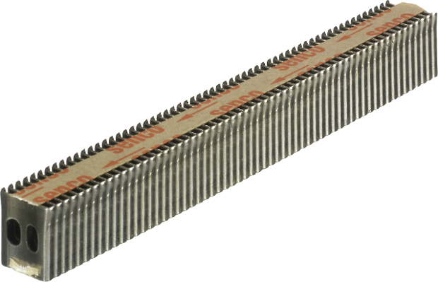 Y09BFAN-01.tif