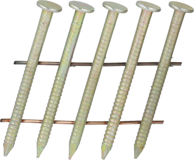 SExxAABV-CN-ANGLE_01.psd